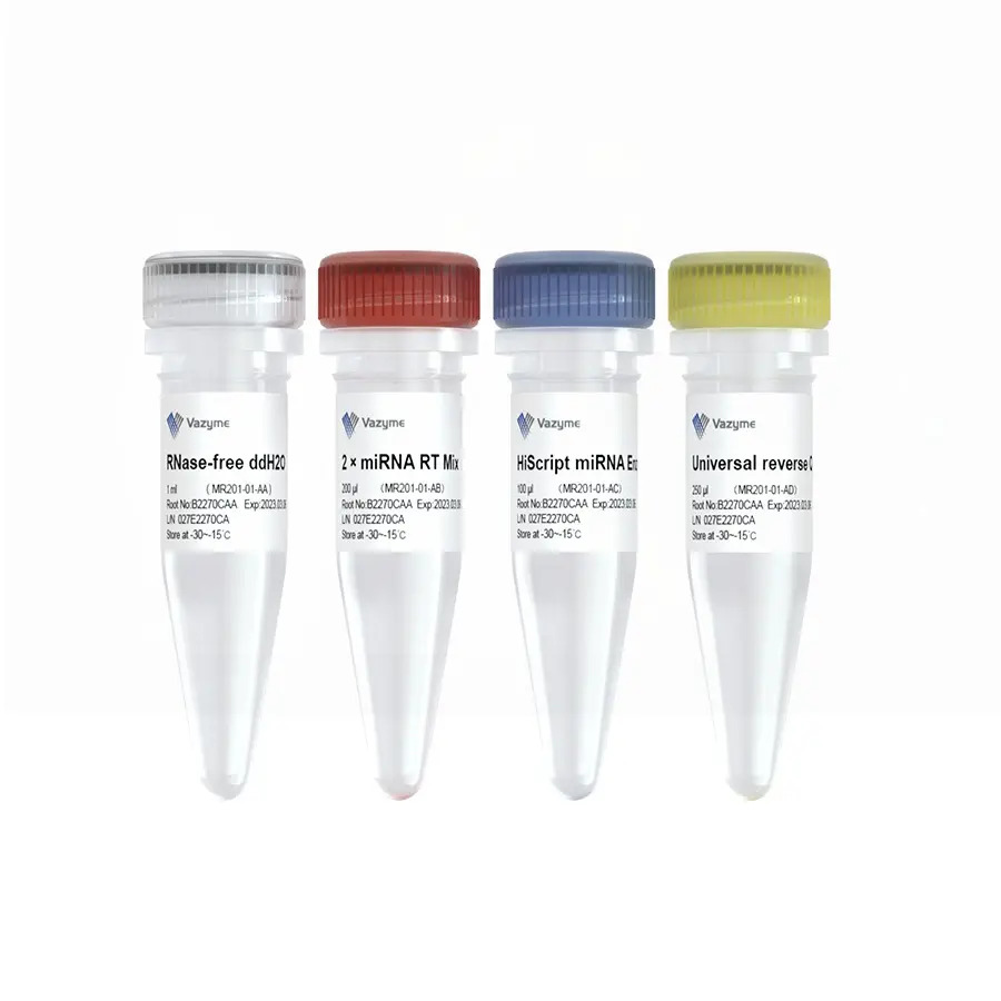 miRNA 1st Strand cDNA Synthesis Kit (by tailing A) MR201 BioSima